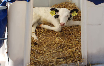 Без этого оборудования профилакторий не работает: что обязательно нужно